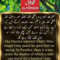Ashfaq Khan