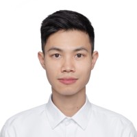 Duc Anh Truong