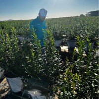 Daniel Humberto Rios Villegas