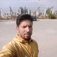 Mir Showkat