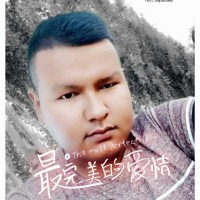 木太力