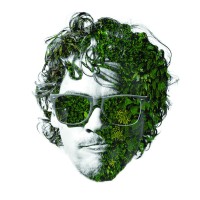 Jasper van den Elshout