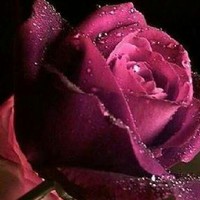 Ashraf Ahmed