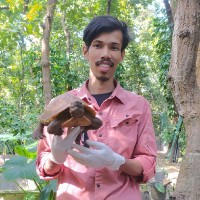 Moktadir Rahman