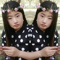 Iris Dong