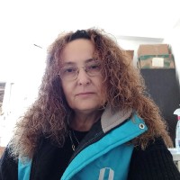 Nigar Celik
