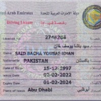 Said Bacha