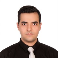 Mohammad Sina Majidi