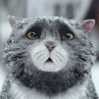 Сергей Ивайкин
