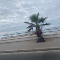 Brahim Wahabi