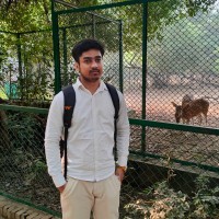 Muhammad Aquib Javed