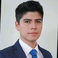 Diego Mansilla Peláez