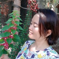 Windy Trinh Do