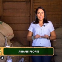 Ariane Flores
