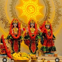 Dr Manoj