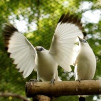 Friends of the National Parks Foundation