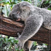 Juan Rehnfeldt Spaini