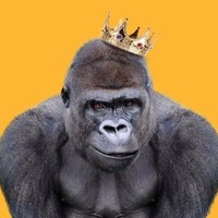 Gorilla Team