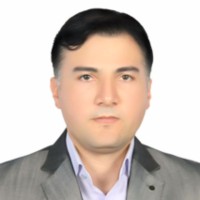 MAHDI FARAJI