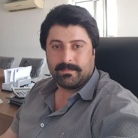 Arman Motamedi