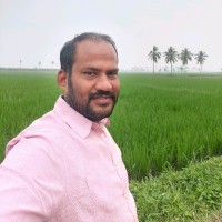 Pradeep K