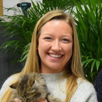 Liesbeth Warnez