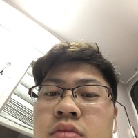 林叶枫枫