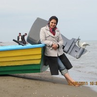 Roya Aminpour