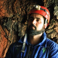 Daniel Reis Maiolino