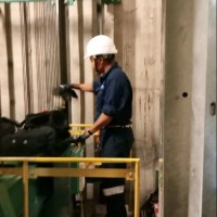 Roa Elizabeth Mulina