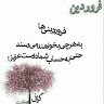 M Farahmand