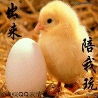 金术林