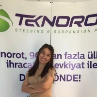 Mürvet Karaoglu
