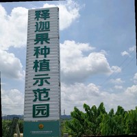顾育瑞