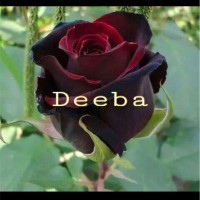 Deeba Jamal