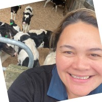 Peta Hamilton