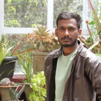 Rahul R D