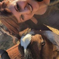 Casie Wiginton