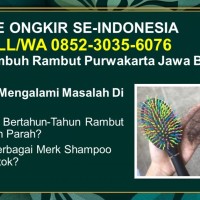 vitaminrambut yangbagus