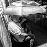 cornelis schut