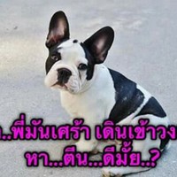 มิก กี้