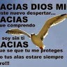 producciones SIMO  You tube music  premium Lorenzo