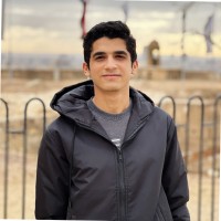 Mohamed Hesham