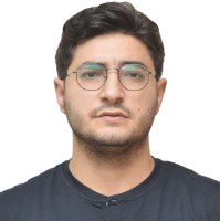 Elvin Hamzali