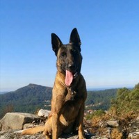 CAROLINA GONZALEZ RODAL