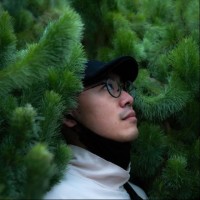 Yee Hong L.