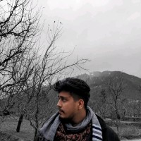 Abhimanyu Pareek