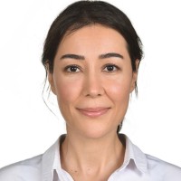 Meltem Çiloğlan Karataş