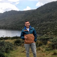 Diego Alejandro Rincon Torres