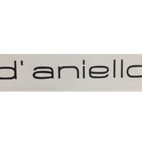 Tonino D'aniello